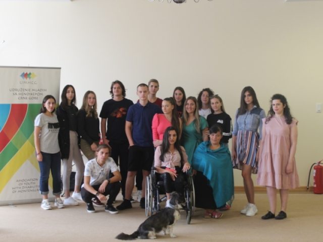 SAOPŠTENJE ZA JAVNOST: MREŽA VOLONTERA ČIJIM RADOM KOORDINIRA UMHCG IZRADILA STRATEŠKI PLAN