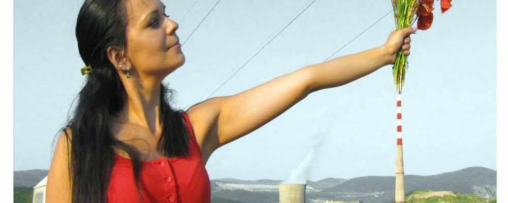 Razultati anketiranja građana Pljevalja o zagađenju vazduha