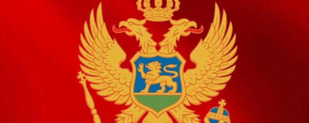 Izvještaj o primjeni Uredbe o izboru predstavnika NVO u radna tijela organa državne uprave i sprovođenju javne rasprave u pripremi zakona i strategija u 2018. godini