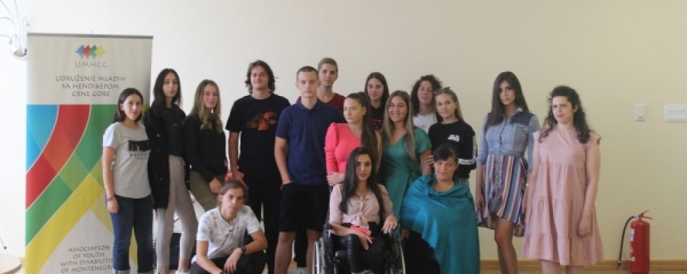 SAOPŠTENJE ZA JAVNOST: MREŽA VOLONTERA ČIJIM RADOM KOORDINIRA UMHCG IZRADILA STRATEŠKI PLAN